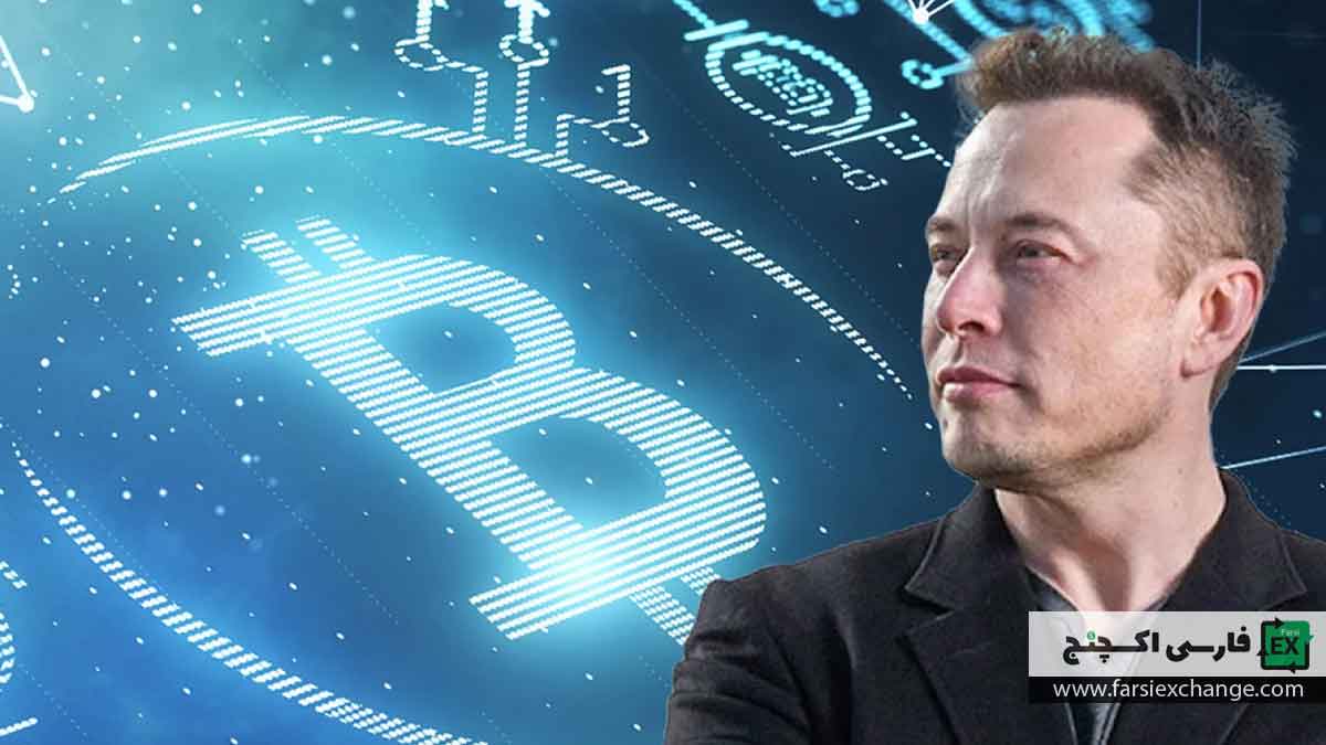 ایلان ماسک