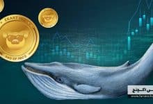 بررسی تاثیر نهنگهای بازار بر قیمت ارزهای دیجیتال