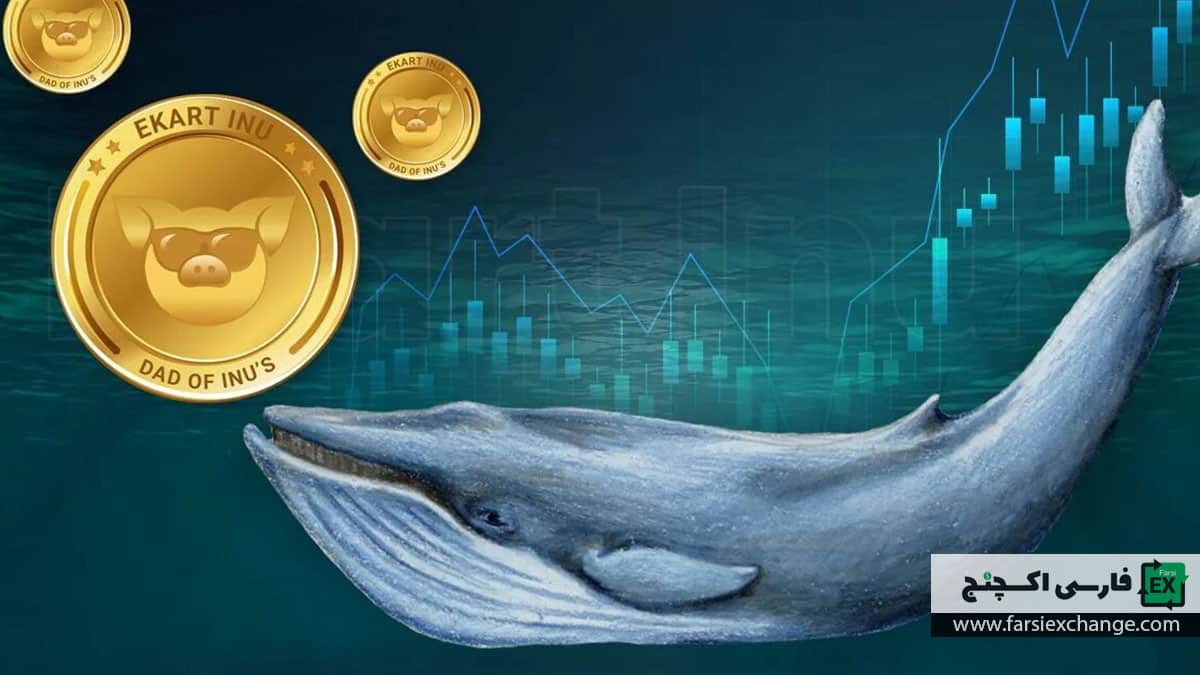 بررسی تاثیر نهنگهای بازار بر قیمت ارزهای دیجیتال